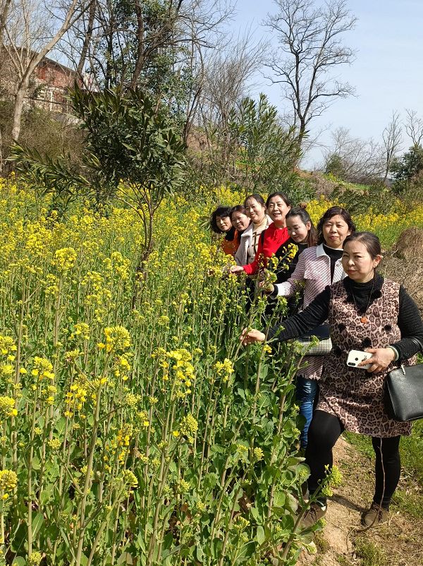 女工在初放的油菜花中合影.jpg 女工在初放的油菜花中合影.jpg